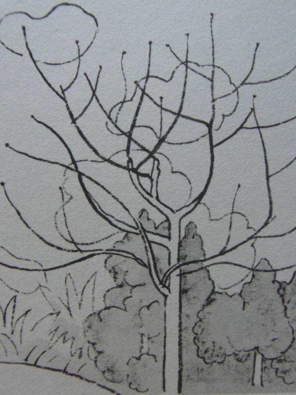 小野竹喬 【春の芽】　 高級画集画、状態良好、新品高級額装付