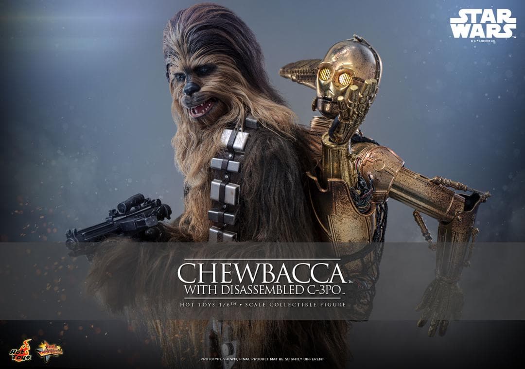 ホットトイズ 1/6 チューバッカ ＆ C-3PO (分解) MMS766