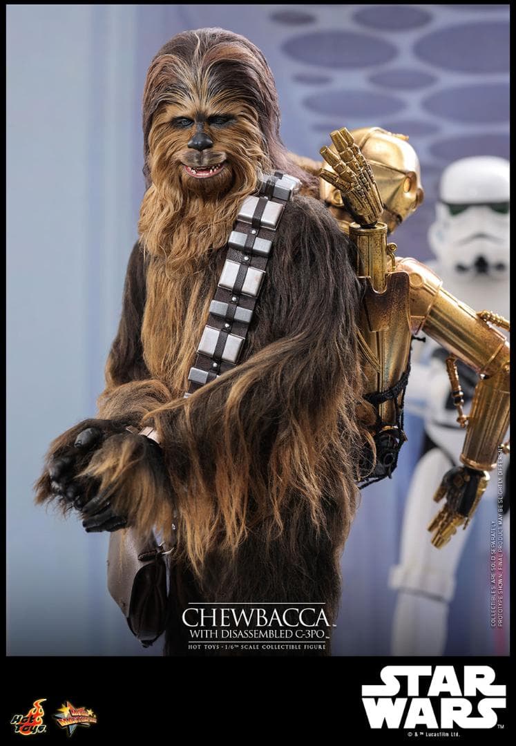 ホットトイズ 1/6 チューバッカ ＆ C-3PO (分解) MMS766