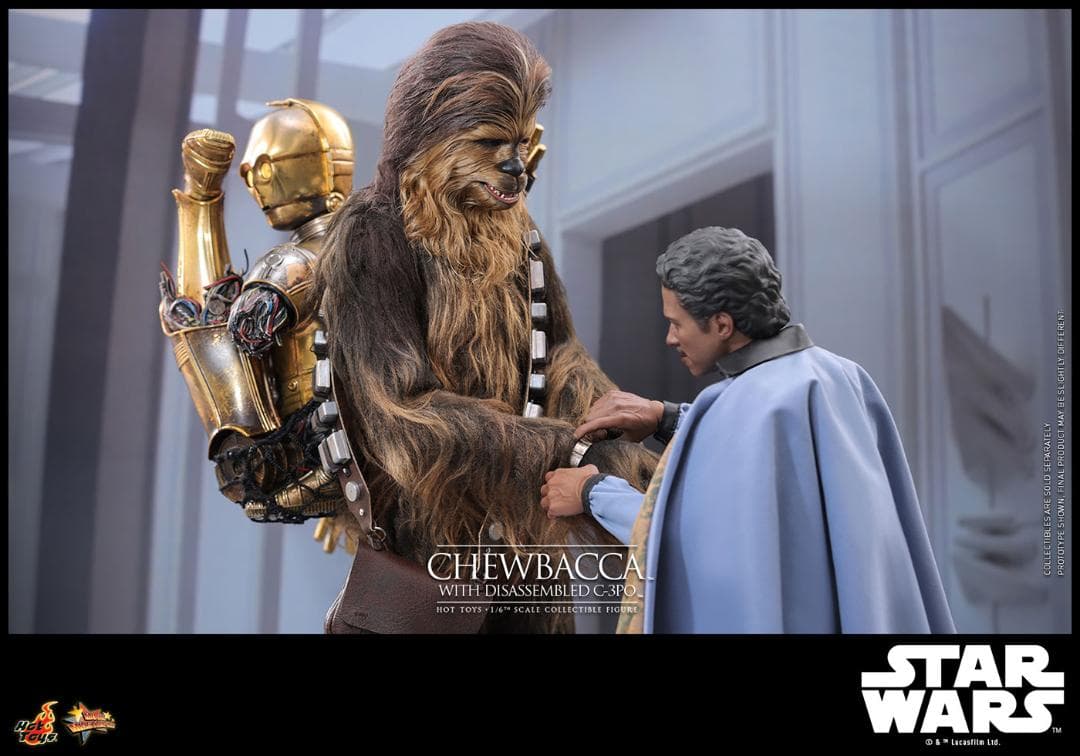ホットトイズ 1/6 チューバッカ ＆ C-3PO (分解) MMS766