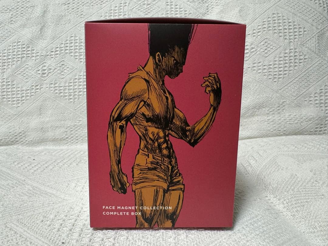 RofJ HUNTER×HUNTER フェイスマグネットコレクション BOX