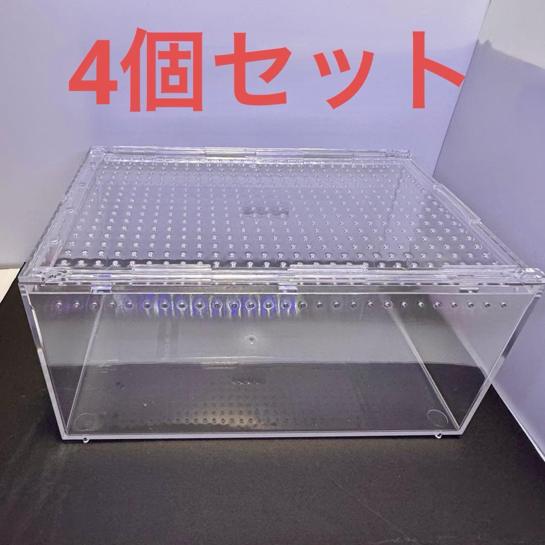 爬虫類 両生類 昆虫　プラスチック飼育ケージ　30×20×15cm 4個セット