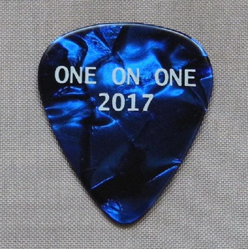 Paul McCartney ポール・マッカートニー 2017 ギターピック