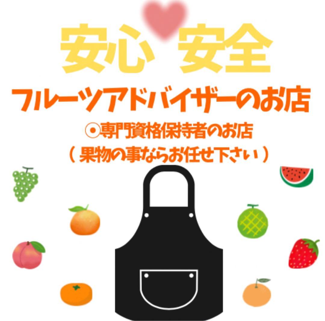③高知特産 露地栽培 土佐文旦 4L限定 文旦 約20kg 大玉 サイズ