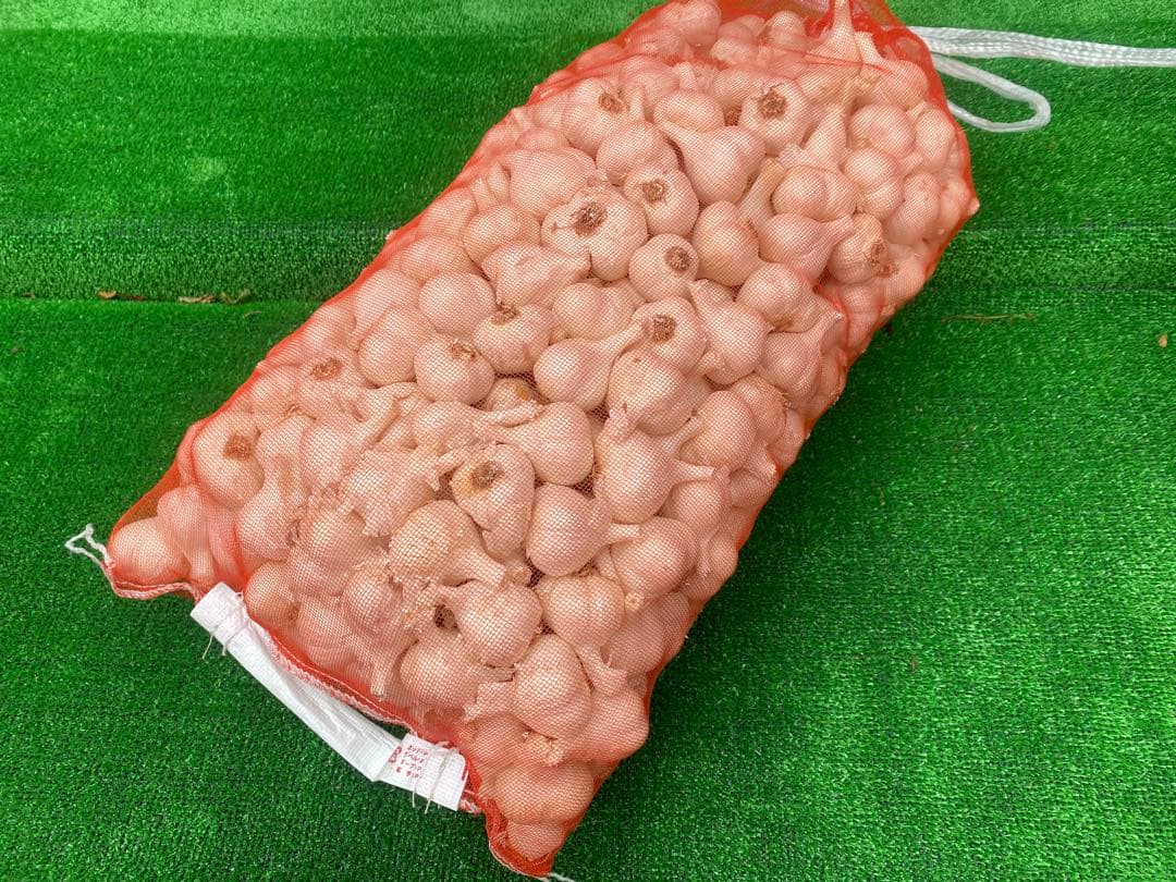 特価品！ Sサイズ　10kg 青森産 乾燥にんにく 福地ホワイト六片
