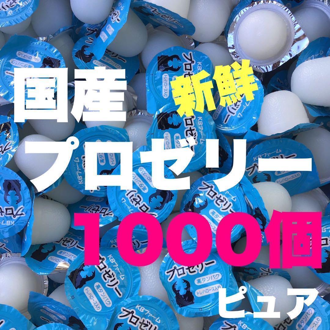 プロゼリー 1000 昆虫ゼリー クワガタ・カブトムシ・モモンガ・ハムスターB