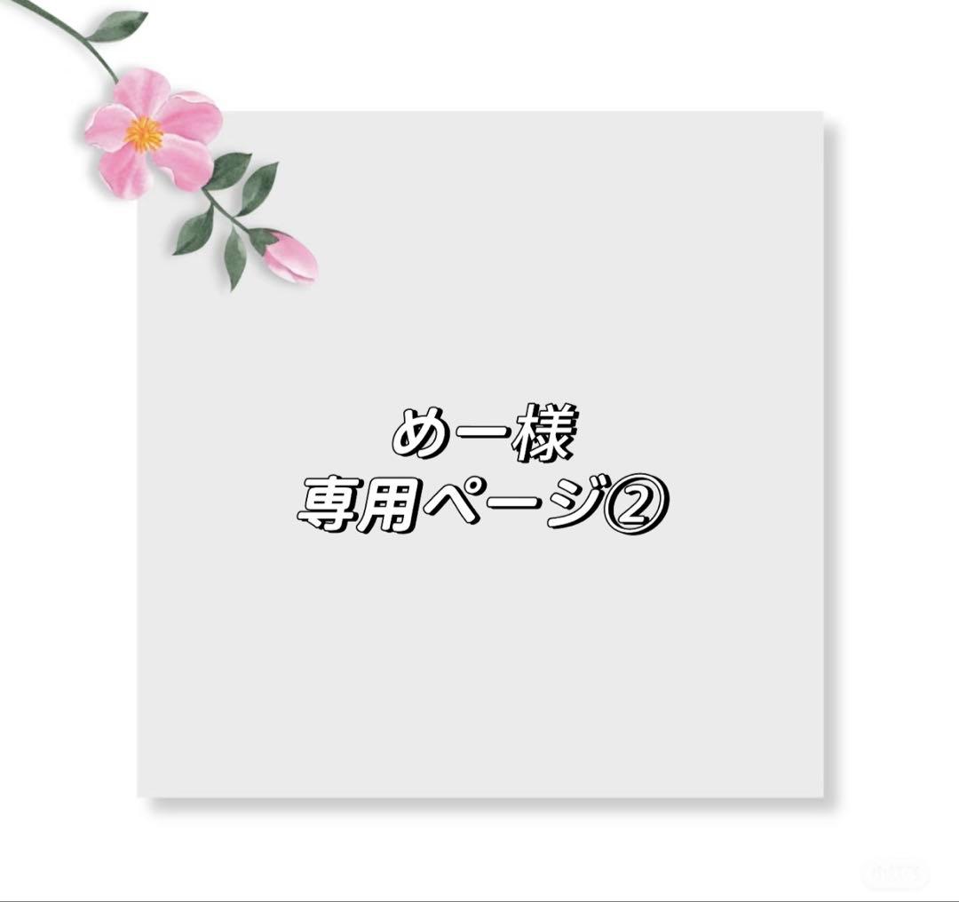 めーページ②