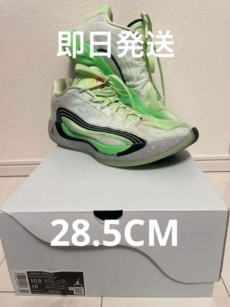 Jordan Brand Luka 4 ルカ4　28.5cm