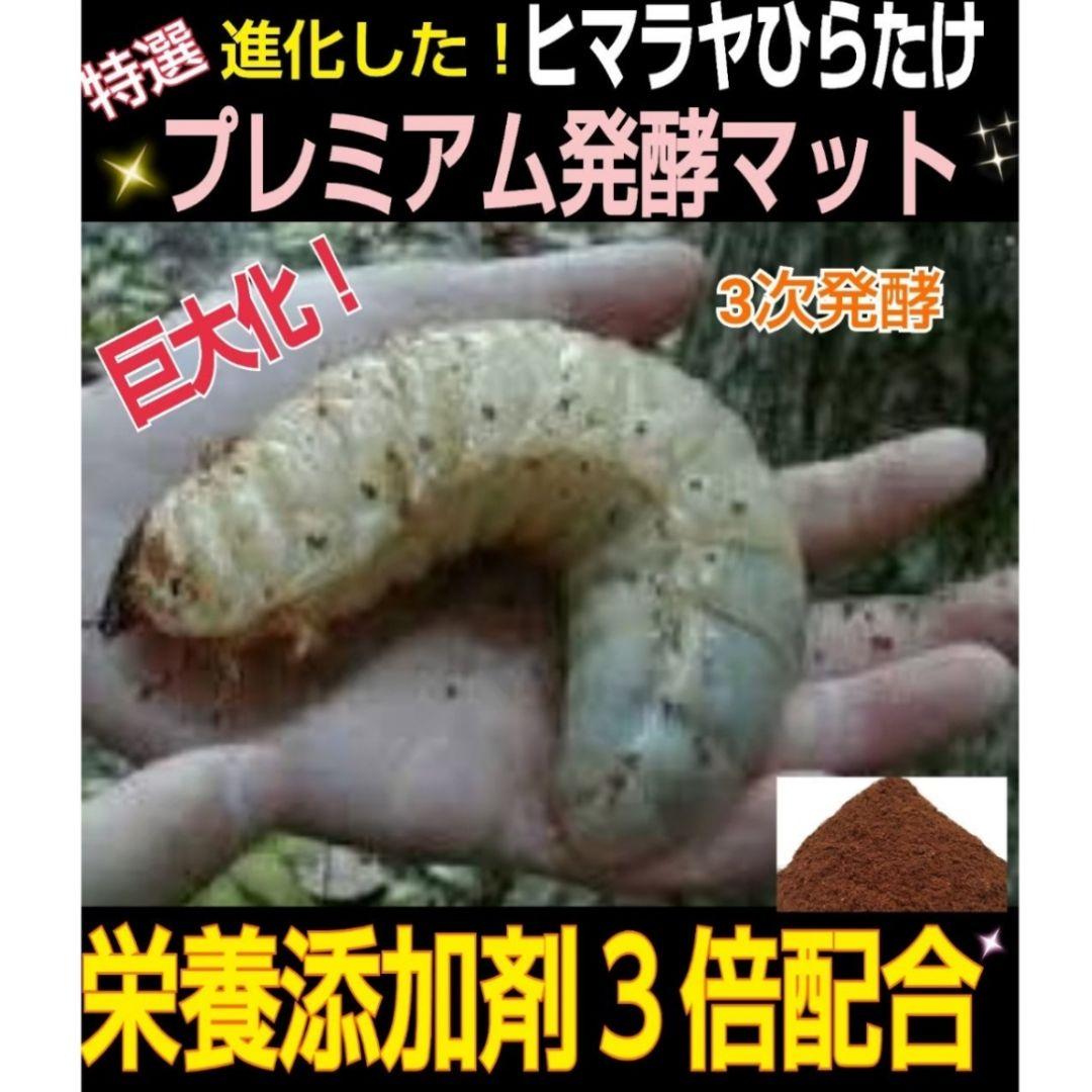 外国産カブトムシに抜群！特選☆プレミアム3次発酵マット【5袋】幼虫の餌、産卵に！