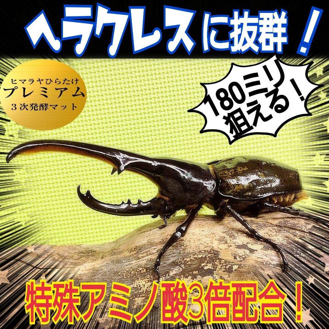 外国産カブトムシに抜群！特選☆プレミアム3次発酵マット【5袋】幼虫の餌、産卵に！