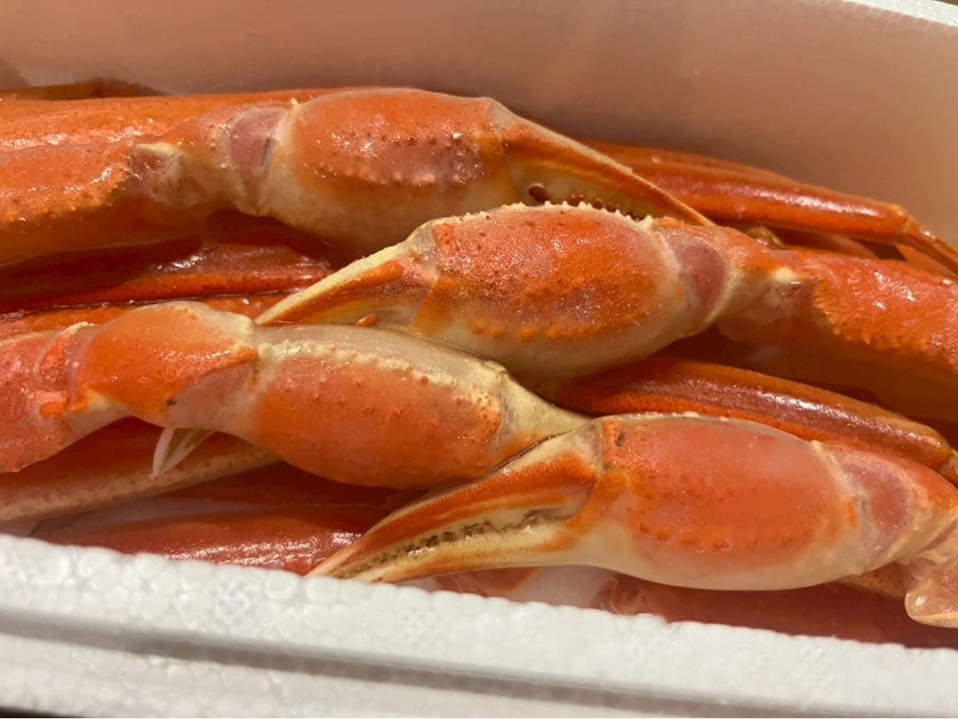 ボイル済みズワイガニ脚 冷凍2kg｜プロ仕様