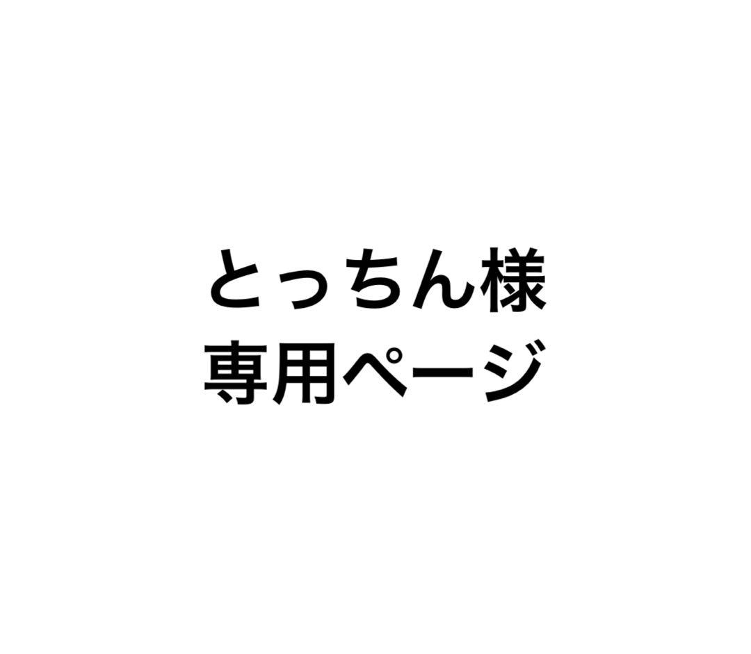とっちんページ
