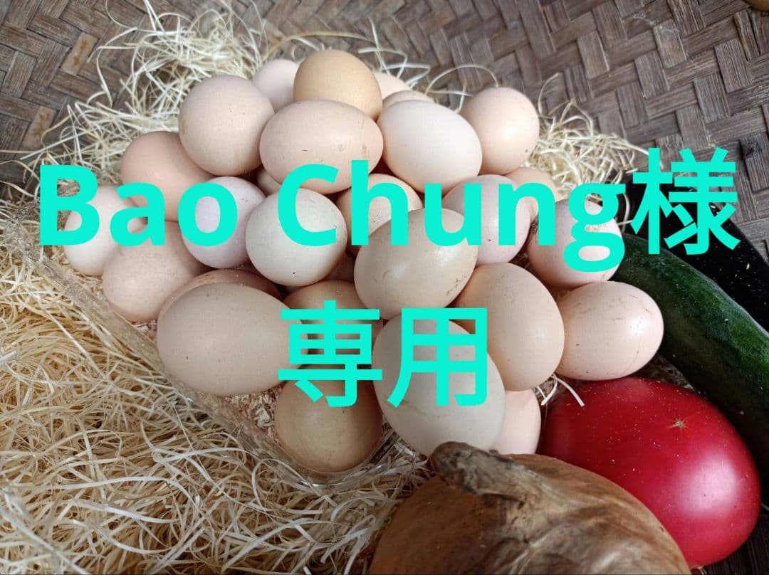 Bao Chung おまかせ 110個