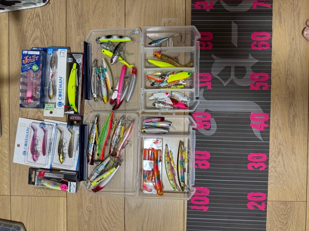 シーバス引退　カゲロウ等あり　バラ不可