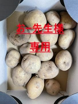 おー先生