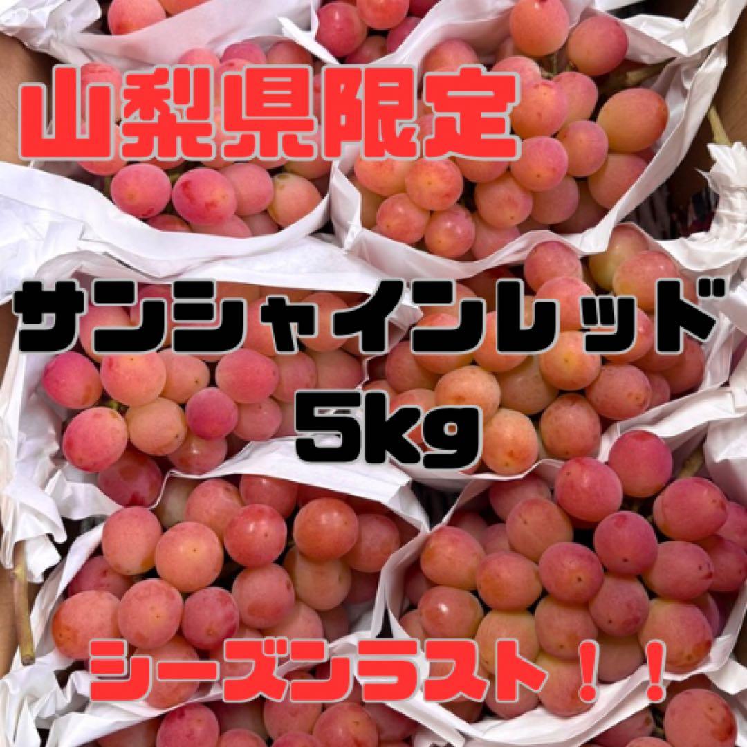 【山梨県限定品種】サンシャインレッド 5kg 【産地直送】