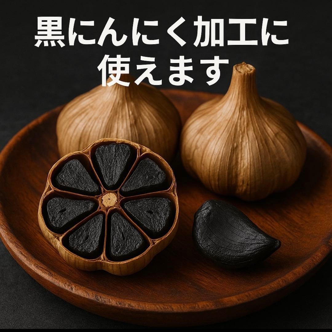 【初売りセール】青森県 福地ホワイト にんにく L 20kg 種にんにく 家庭用