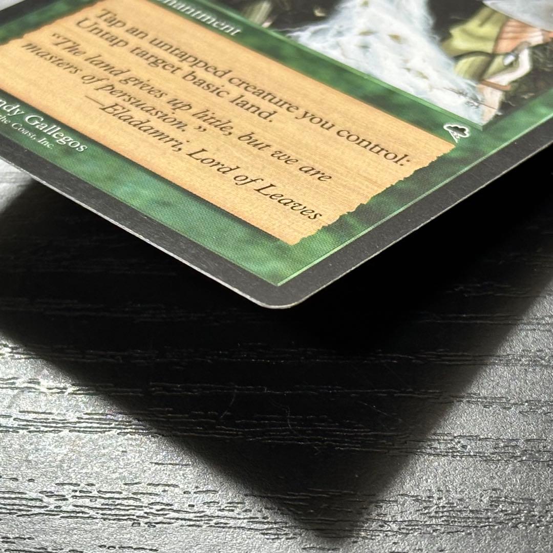 MTG 大地の知識 英語
