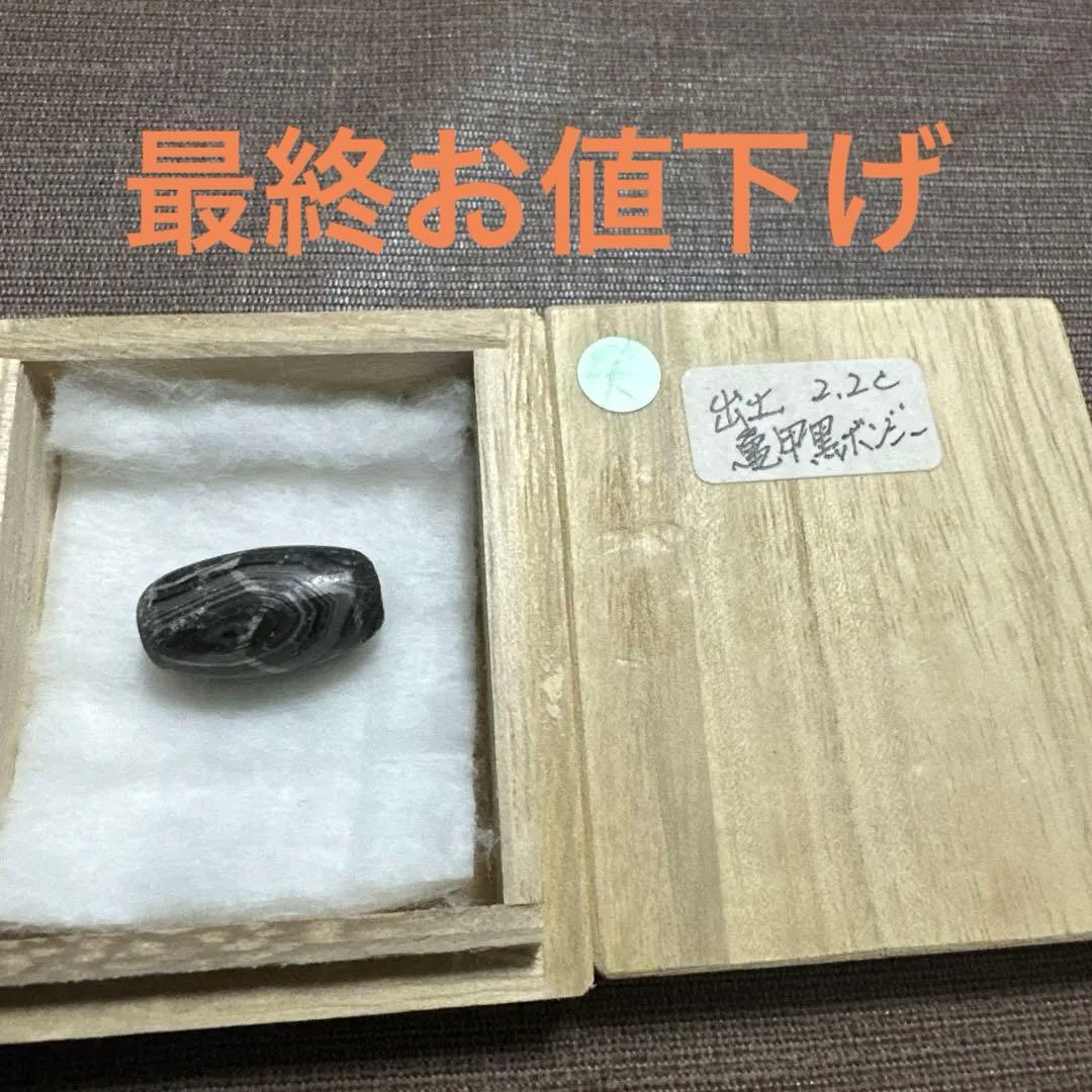 紅朱砂亀甲黒
