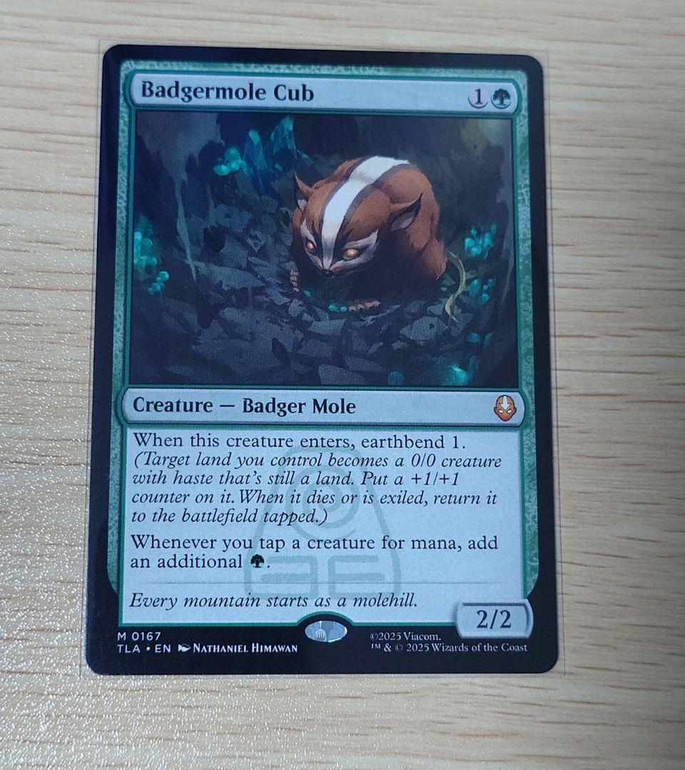 アナグマモグラの仔　Badgermole Cub アバター 伝説の少年アン
