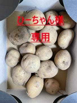ひーちゃん