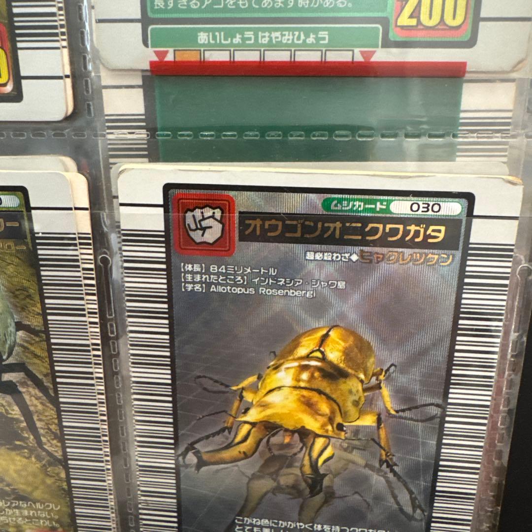 ひ*こ様 甲虫王者ムシキング トレーディングカードセット　恐竜キング