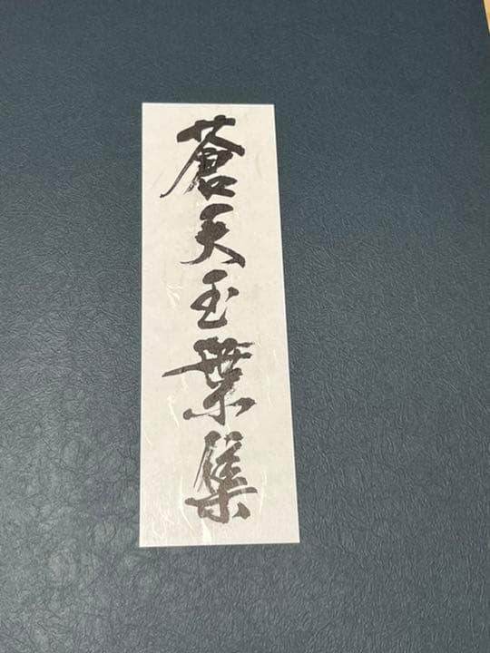 蒼天の拳