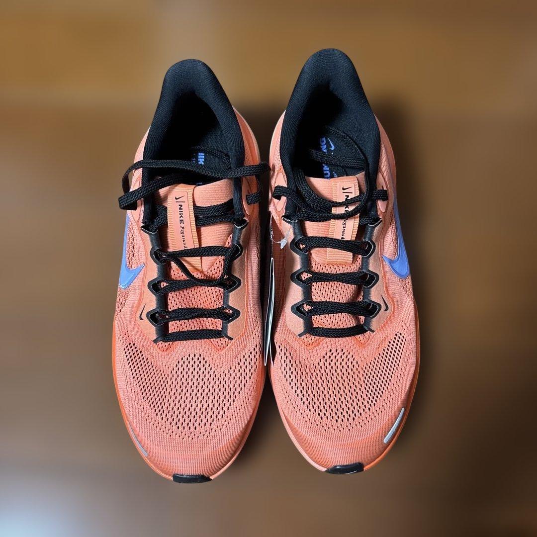 NIKE エア ズーム ペガサス 41 GS 25.0cm オレンジ
