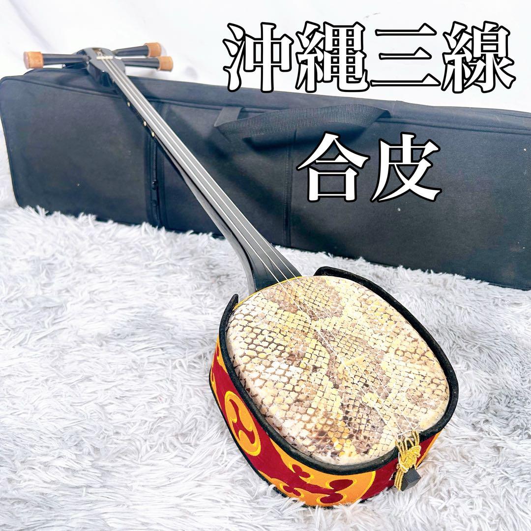沖縄三線 三味線　人工　合皮　ケース付