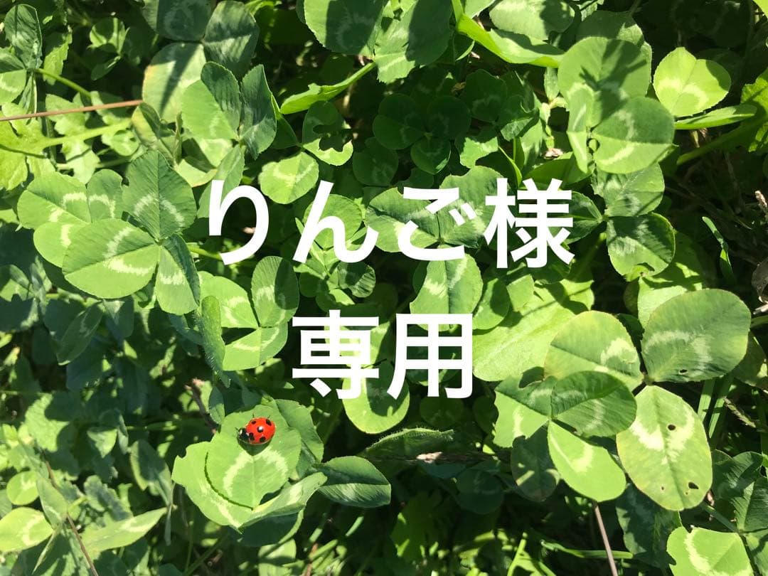 りんご