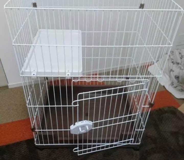 ケージ