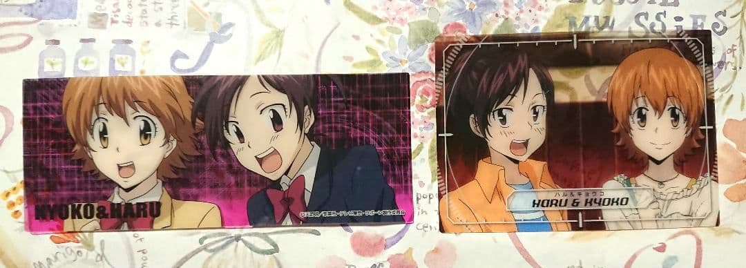 笹川京子＆三浦ハル セット　家庭教師ヒットマンREBORN