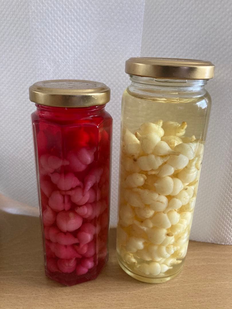 ちょろぎ2kg 珍しい生のちょろぎを採りたてでお届け※種芋にもなります#01