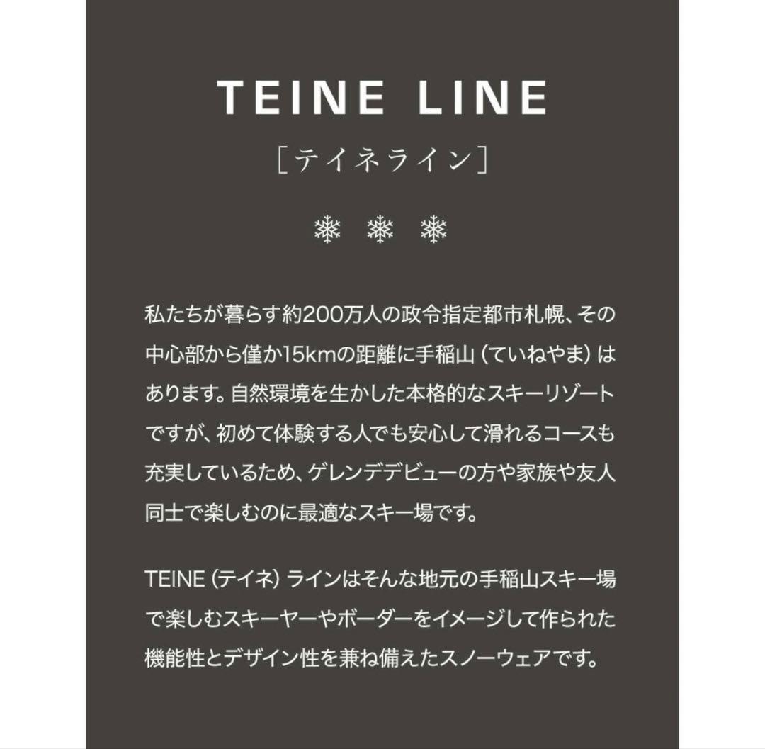 トリプルステッチジャケット スノボウェア 43DEGREES DLITE