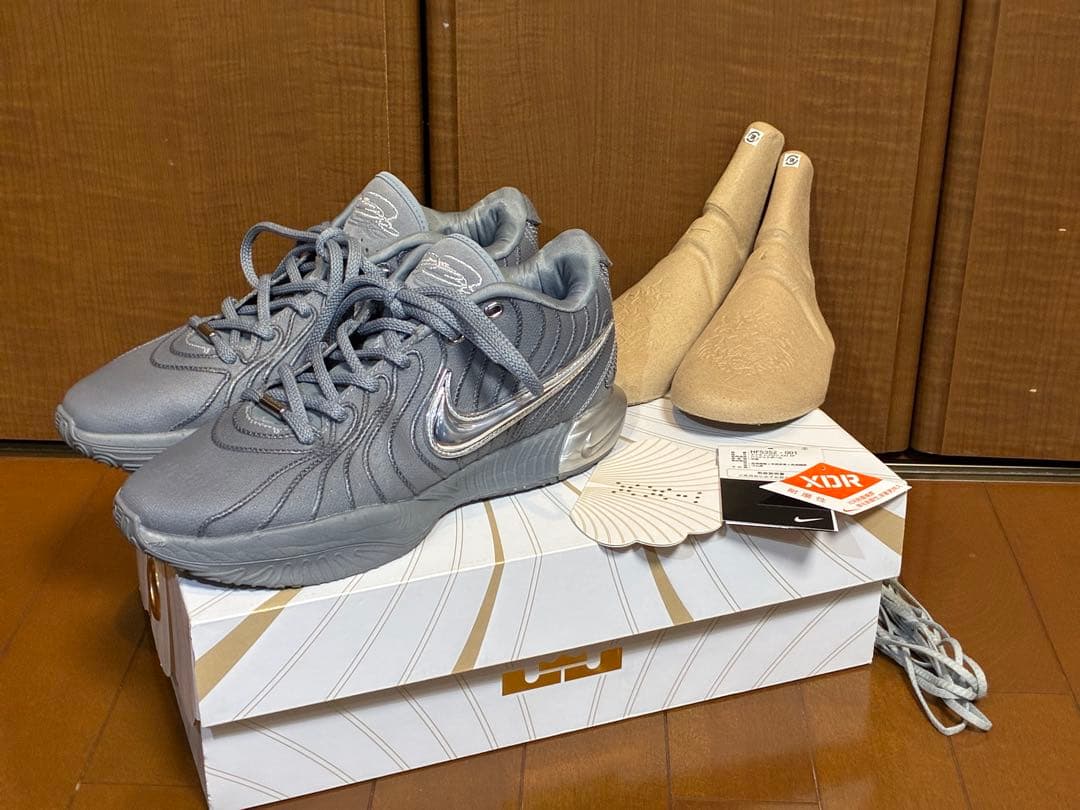 NIKE LEBRON XXI EP27cmナイキレブロン21EPクールグレー