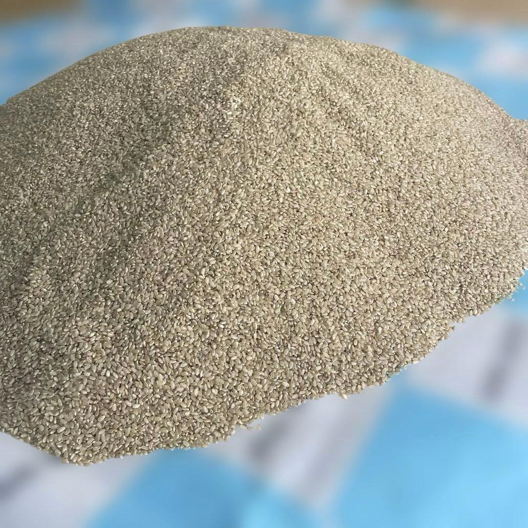 能登産コシヒカリの玄米　令和6年産20kg