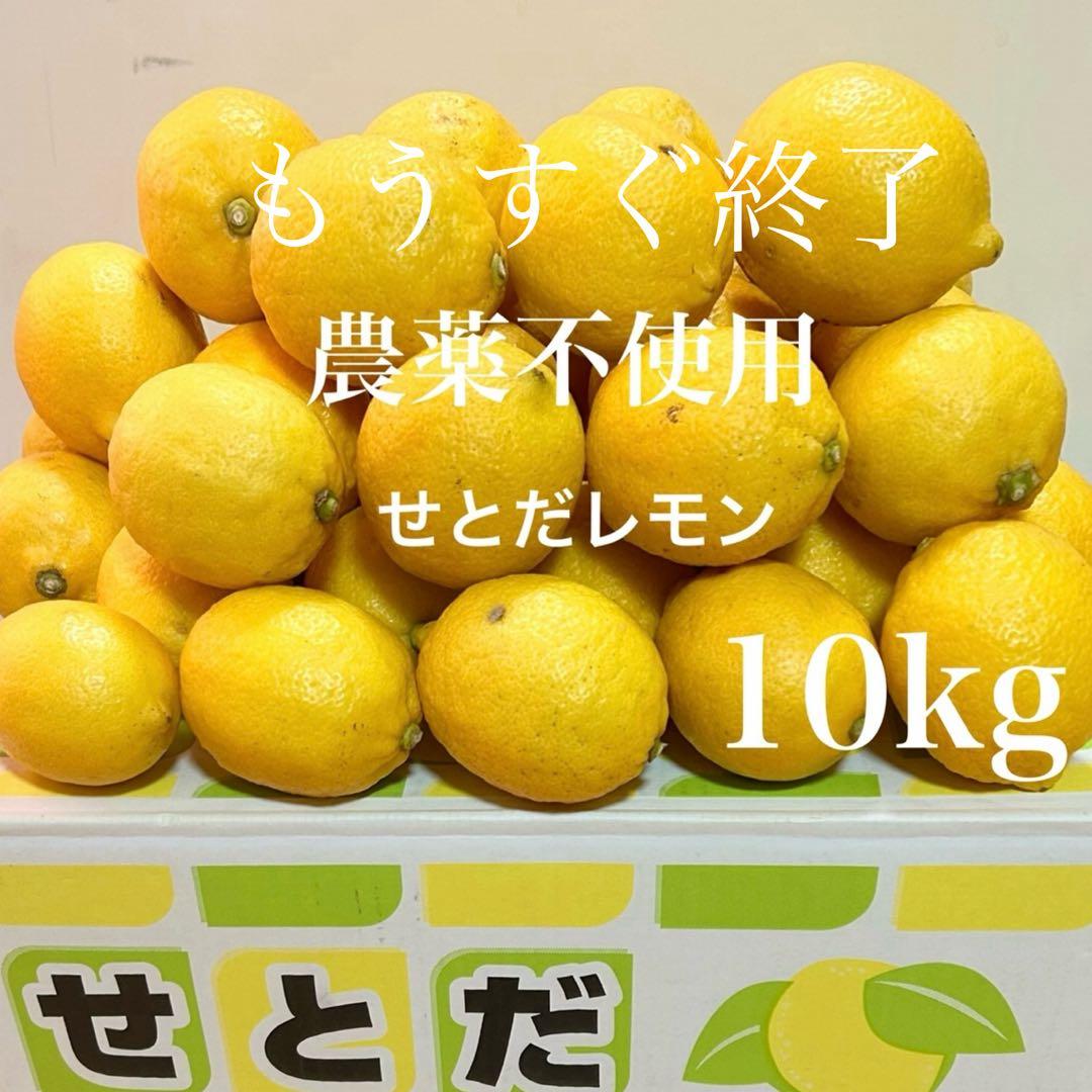 2国産瀬戸田レモン10kg前後