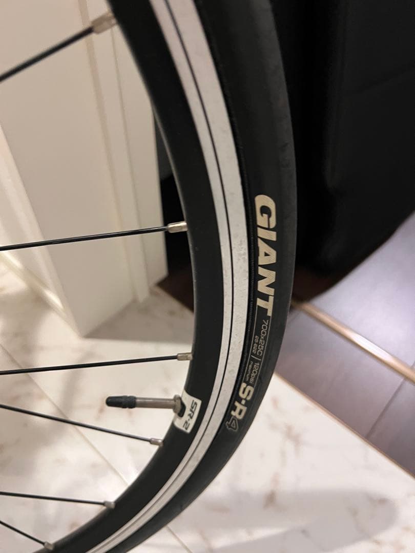 GIANT リブ