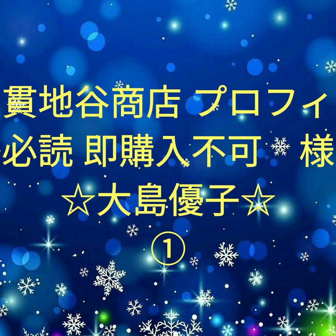 貫地谷商店 プロフィ必読 即購入不可　　大島優子セット①