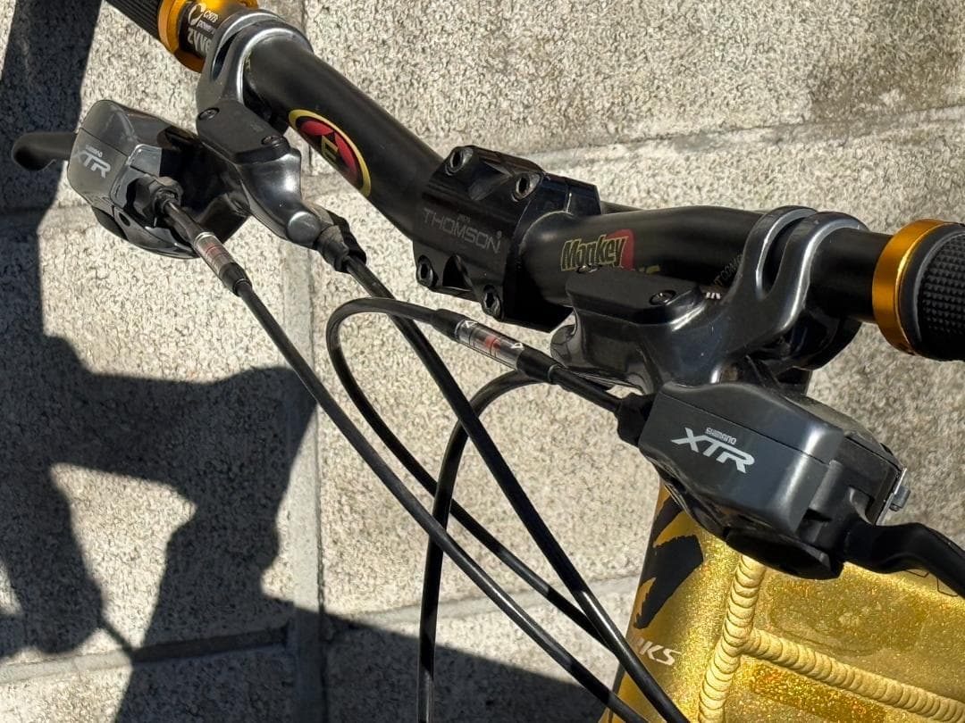 SPECIALIZED S-WORKS + フルXTR里山仕様