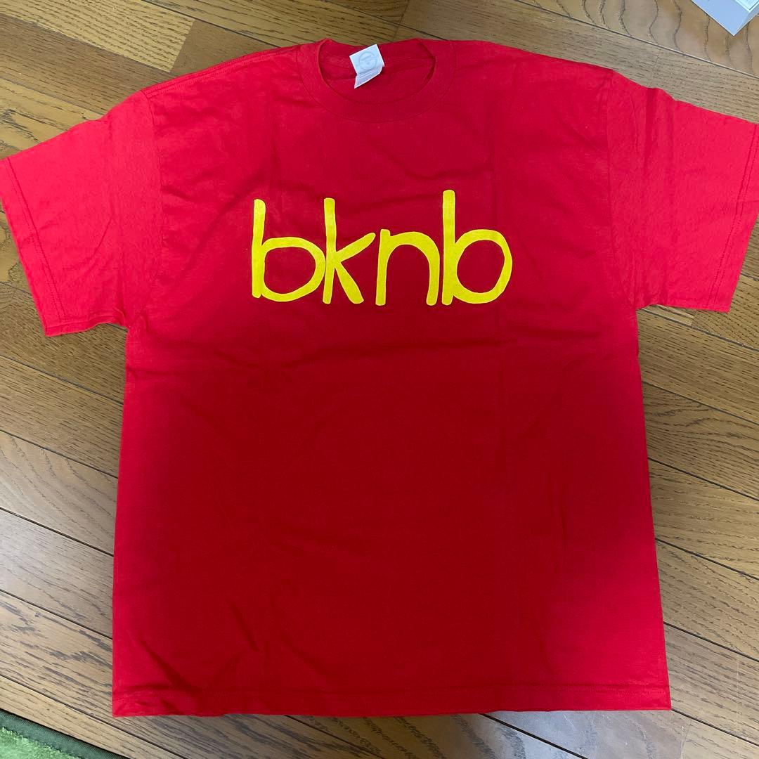 希少 新品未使用！ back number 【インディーズ】2010 Tシャツ
