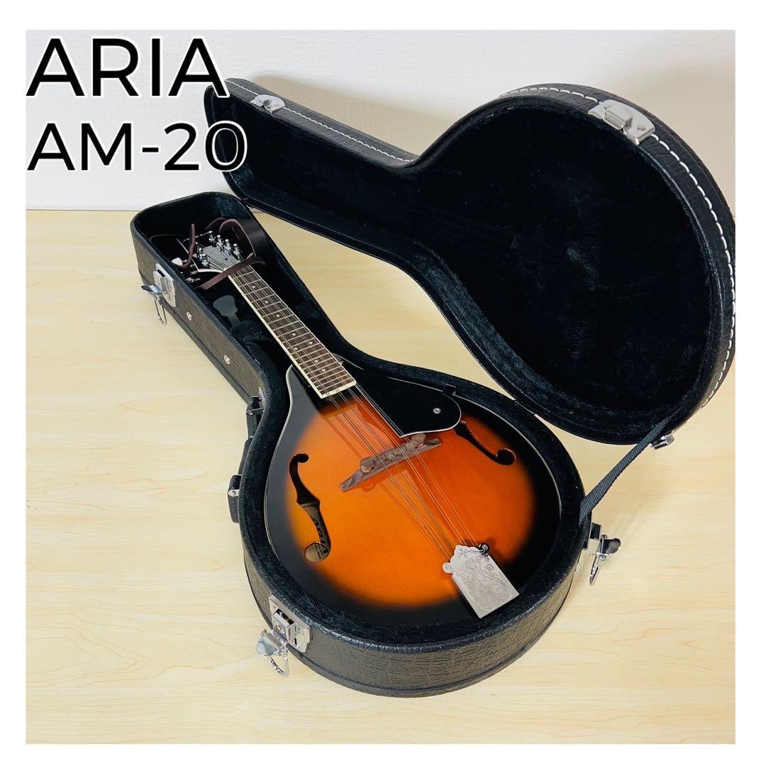 ARIA AM-20 マンドリン 8弦 ハードケース付