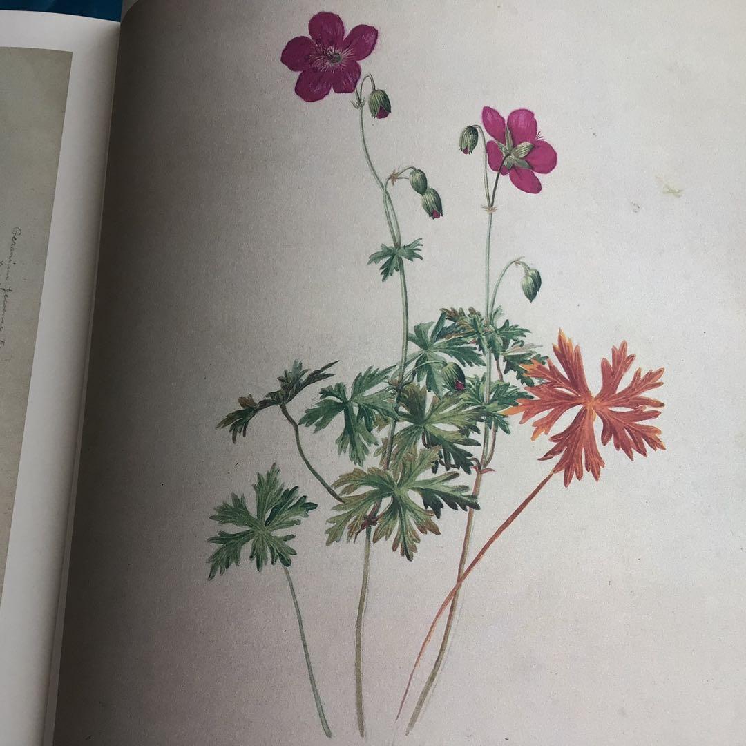日本山草図譜