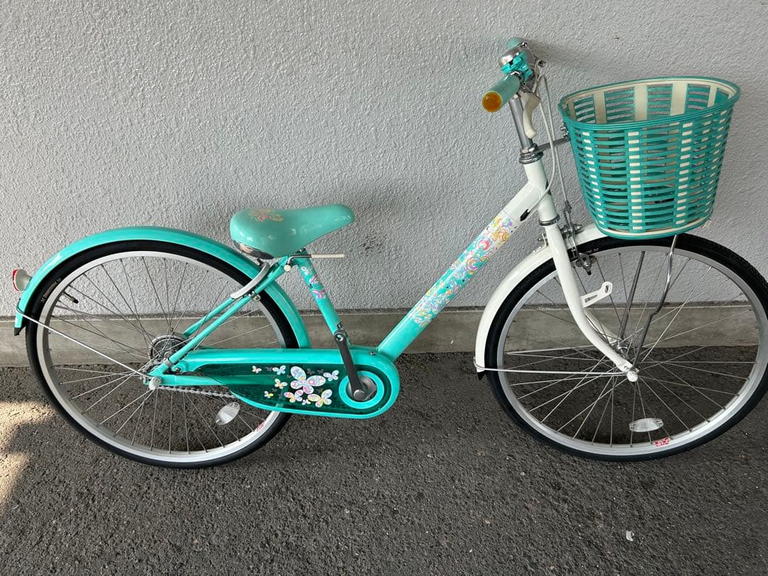 新品未使用ブリジストン★エコパル２4愛知県限定手渡のみ名古屋市中村区北区配送無料