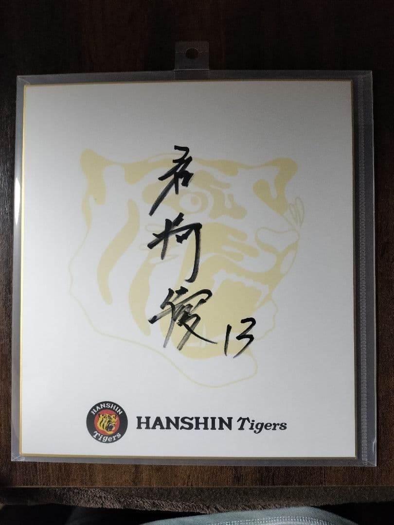 阪神タイガース　岩崎優投手　直筆サイン色紙(保護ファイル付)