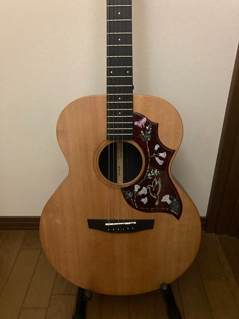 Enya エレアコ　EA-X1SB.PRO/EQ トップ単板