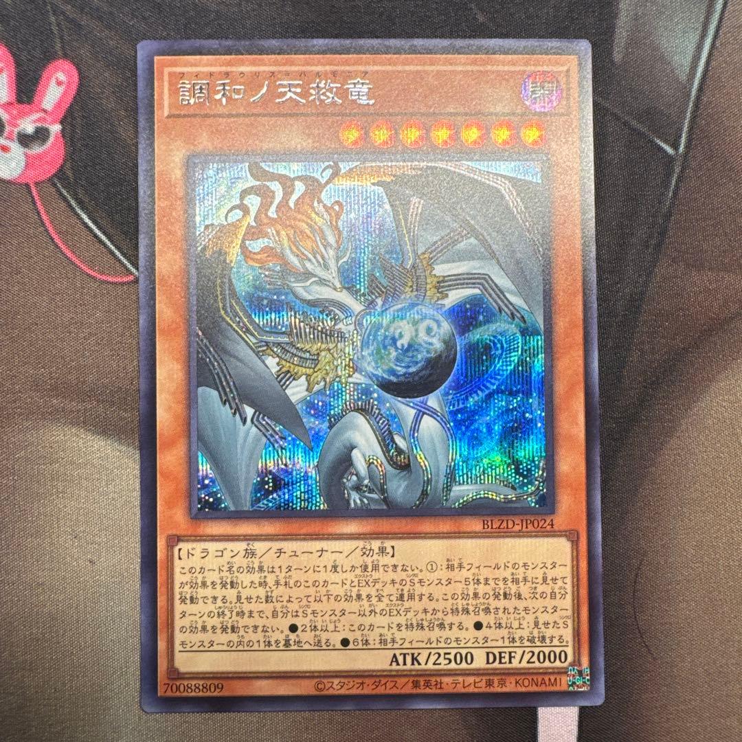調和ノ天救竜