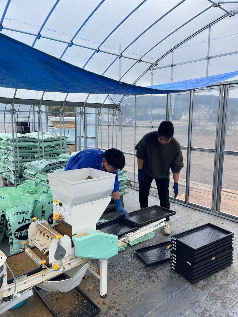 ♡もうすぐ終了♡新米 コシヒカリ 千葉県いすみ市産　10キロ白米⭐︎無洗米