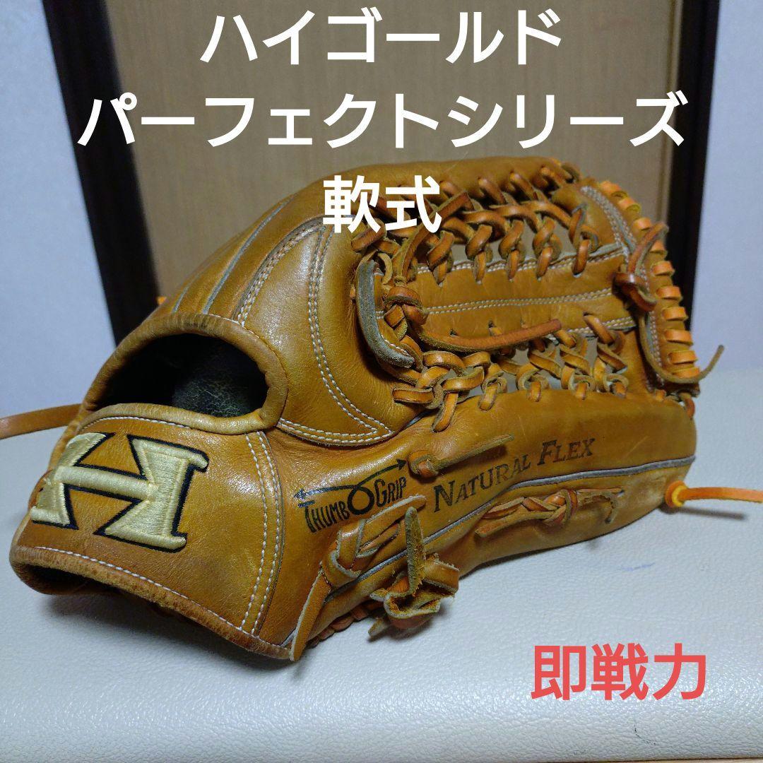 ハイゴールド Hi-Gold Perfectシリーズ　一般軟式用グローブ即戦力