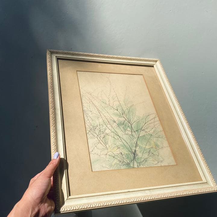 絵画　草花